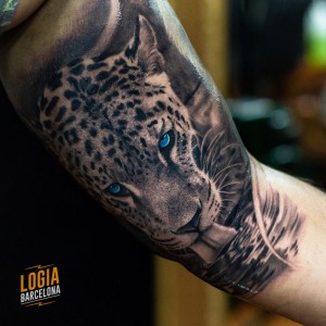 tatuaje_realismo_leopardo_hombro_Logia_Barcelona_Eduar_Cardona 